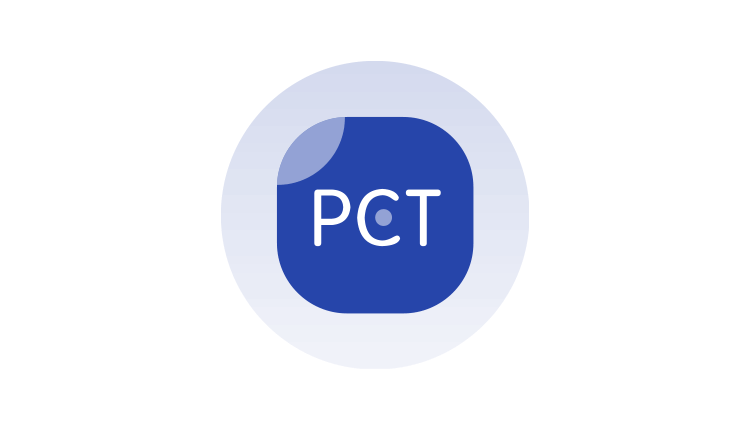 PCT国际专利申请(国家阶段)