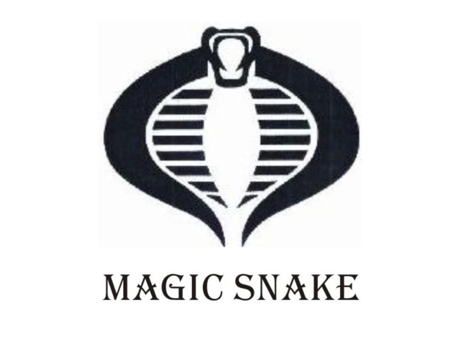 MAGIC SNAKE