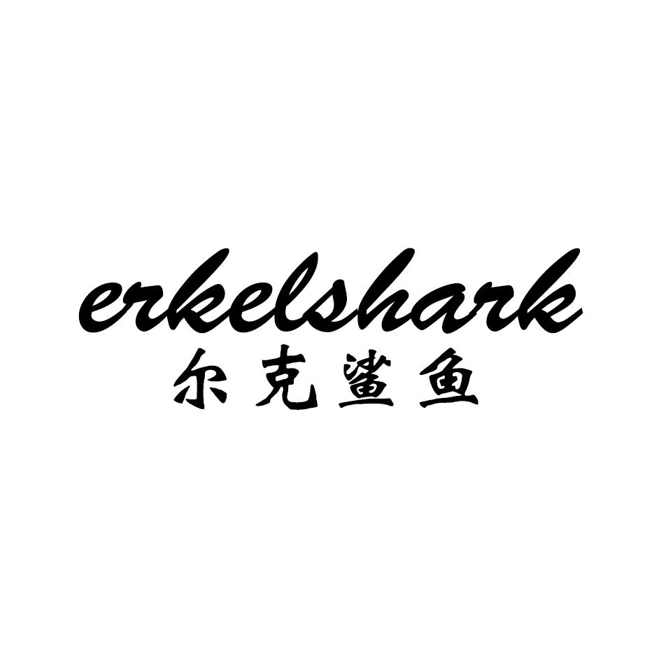 尔克鲨鱼 ERKELSHARK