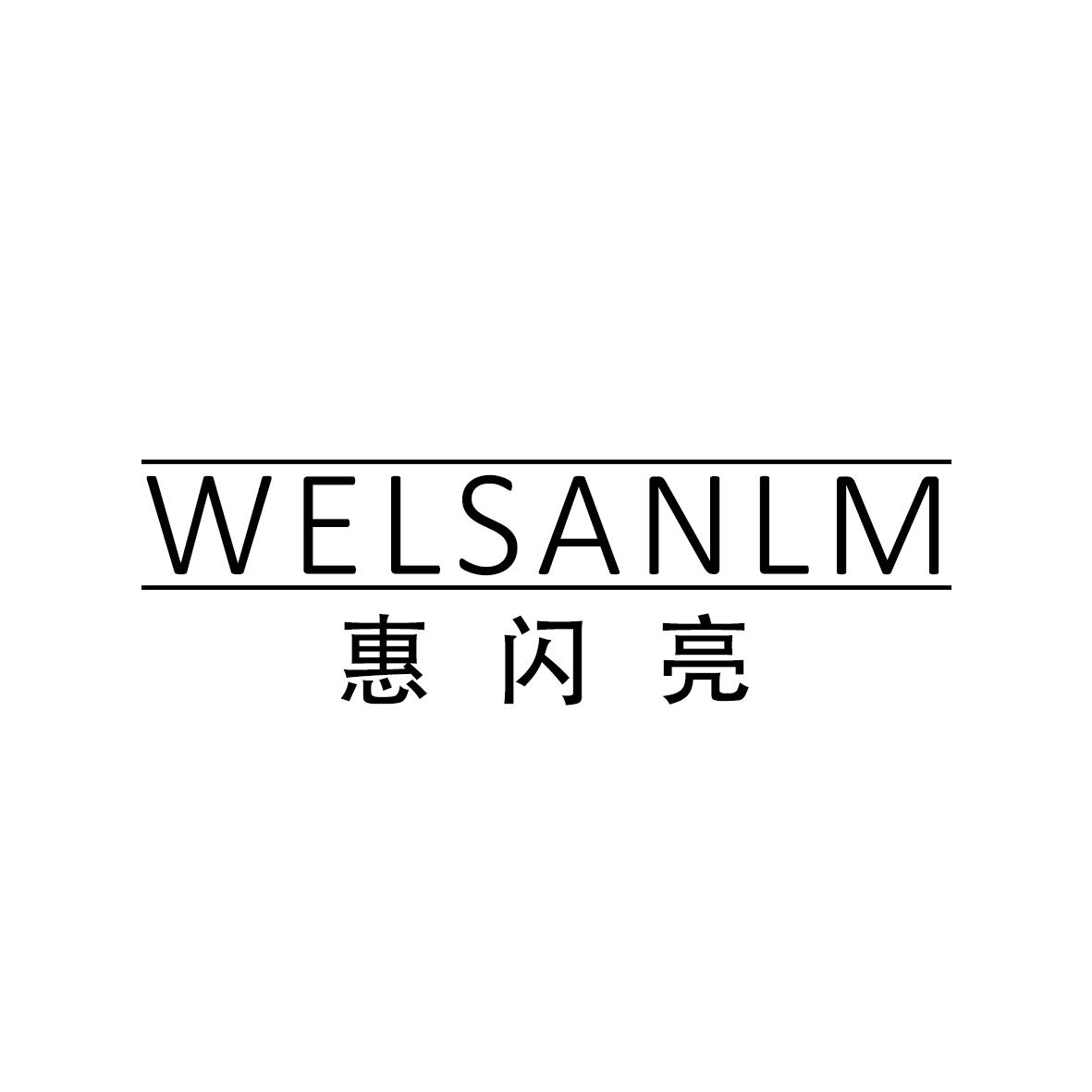 惠闪亮 WELSANLM