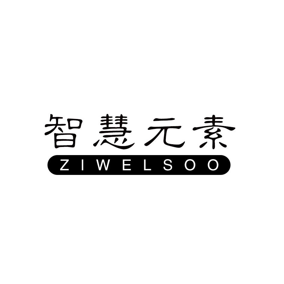 智慧元素 ZIWELSOO