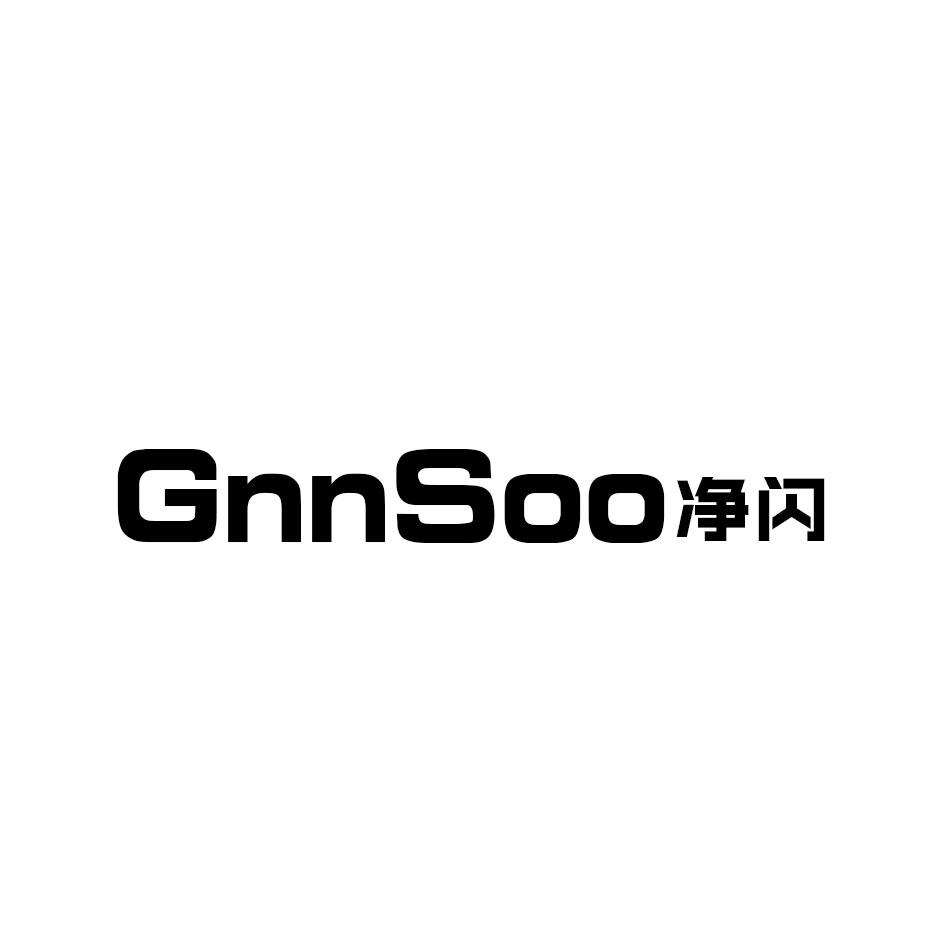 GNNSOO净闪