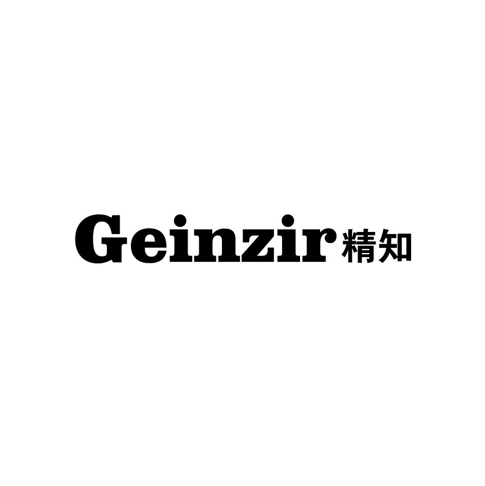 GEINZIR 精知