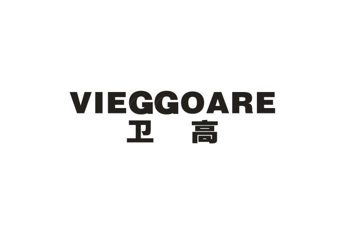 卫高 VIEGGOARE