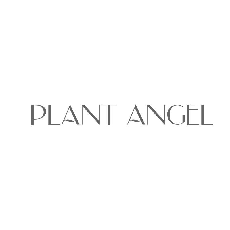 PLANT ANGEL