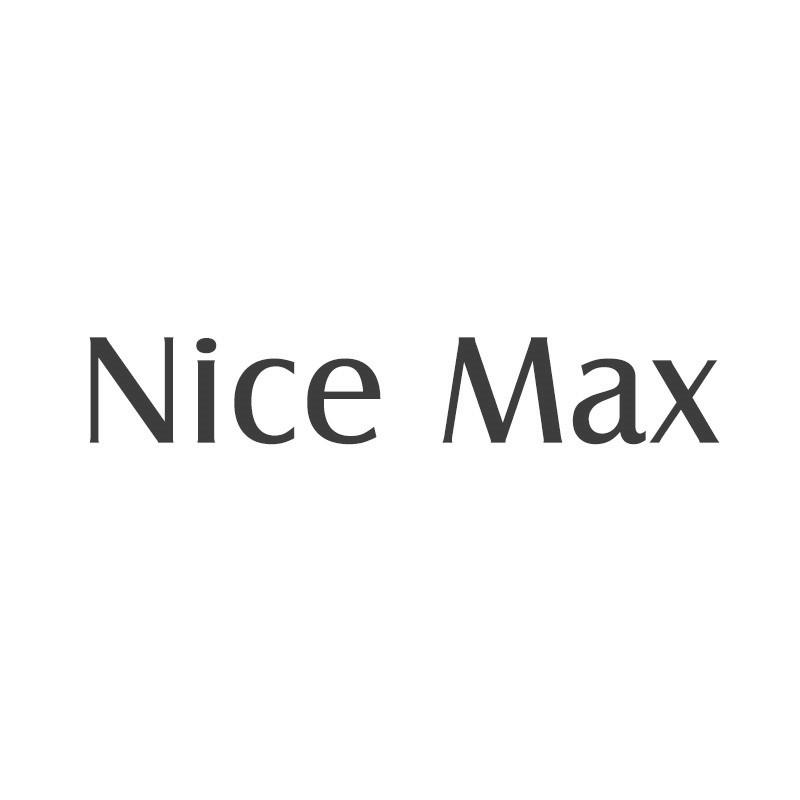 NICE MAX