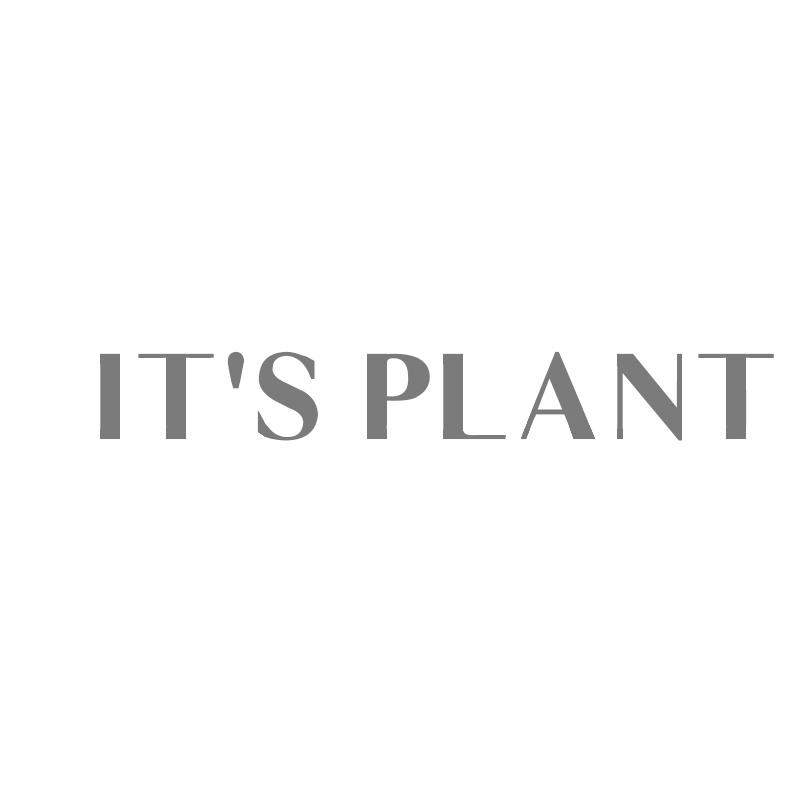 IT’S PLANT