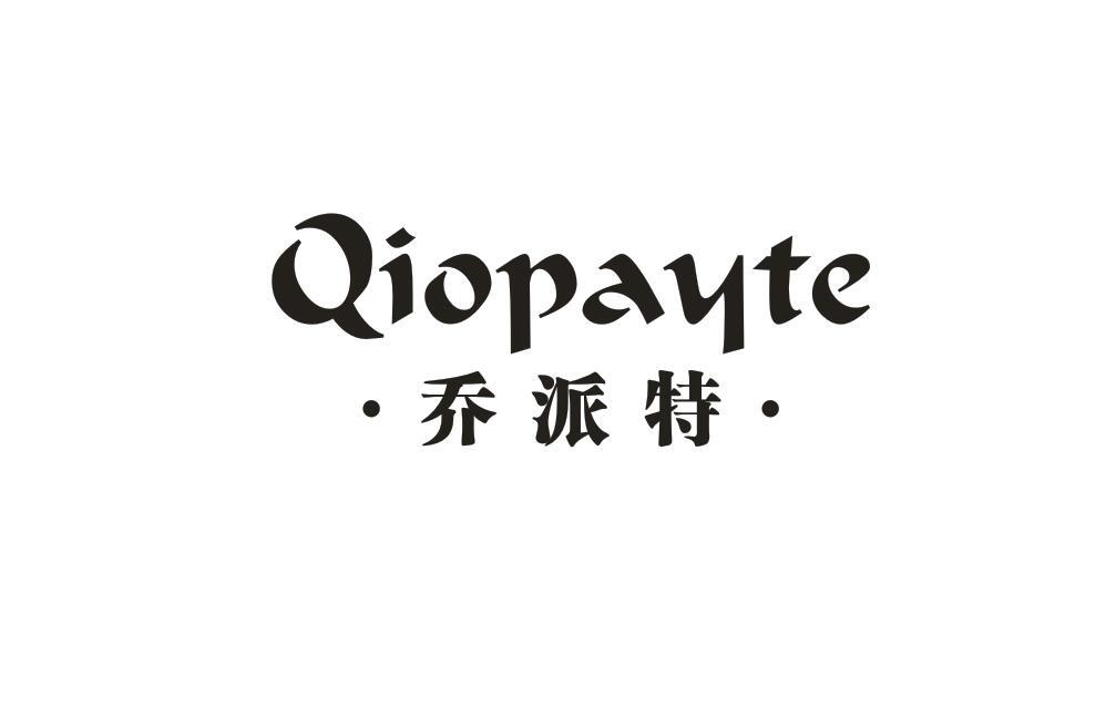 乔派特 QIOPAYTE