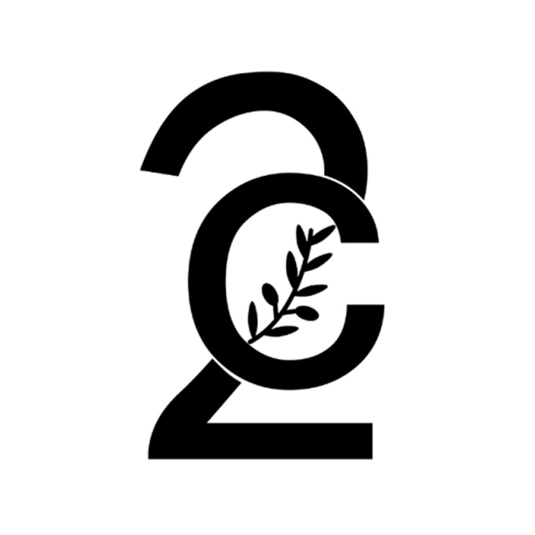 C 2