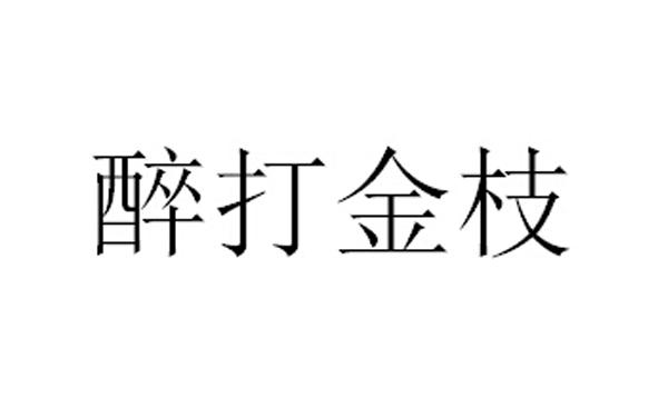 醉打金枝