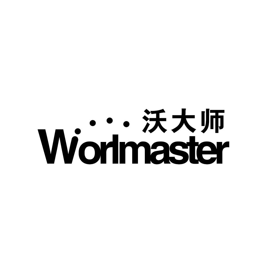 沃大师 WORLMASTER