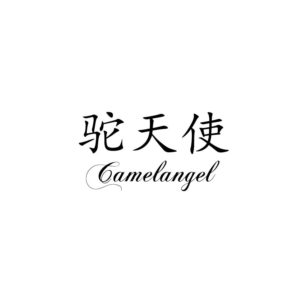 驼天使 CAMELANGEL