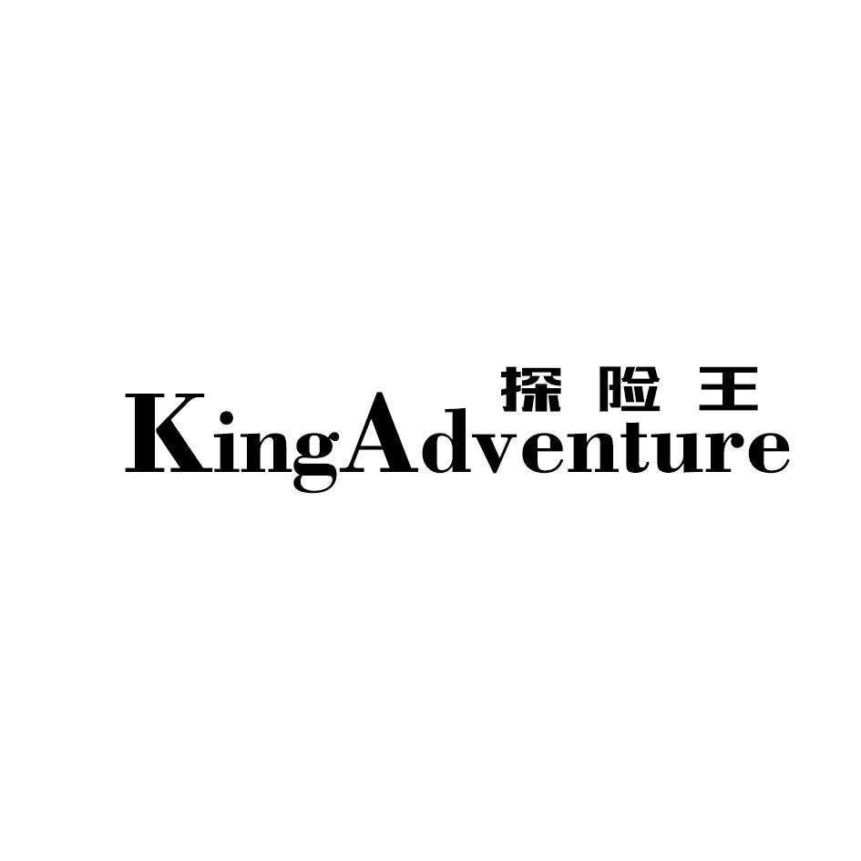 探险王 KING ADVENTURE